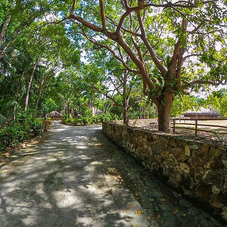 The Mayan Garden Orange Walk 외부 사진